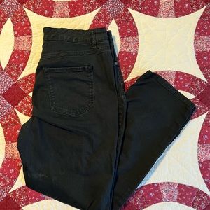 Terra and Sky Black Jean 14w petite